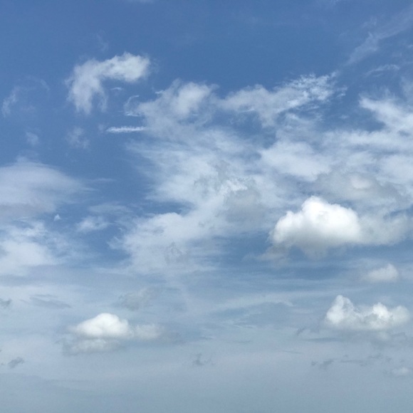 Meet your Posher, Devika - Picture 1 of 1